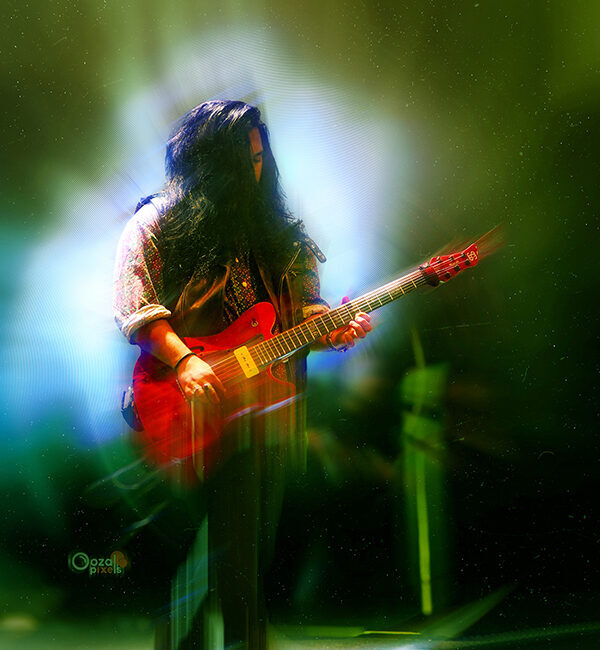 concert photographer in sydney