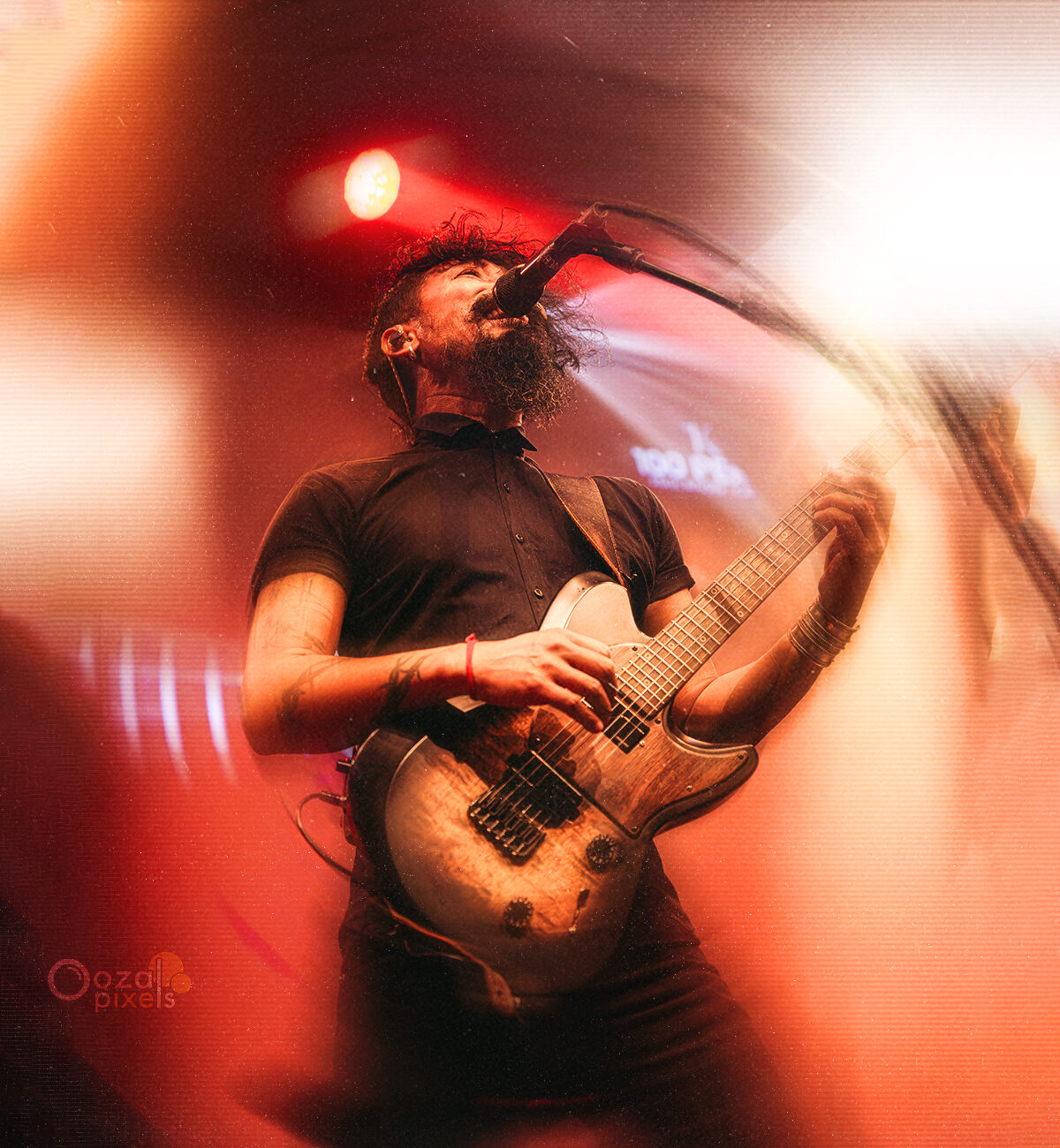 concert photographer in sydney